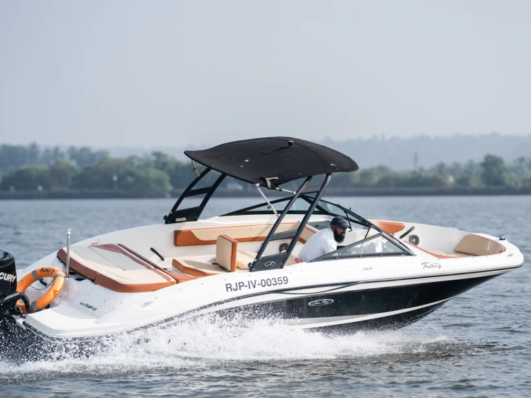 Alquiler de Sea Ray Sea Ray SPX 210 en Panaji