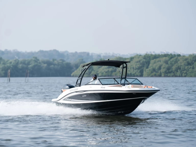 Sea Ray Sea Ray SPX 210 de alquiler a Panaji