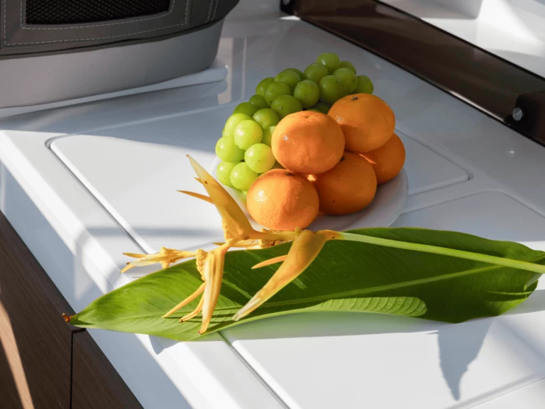 Alquiler Lancha Jeanneau con o sin  título de navegación