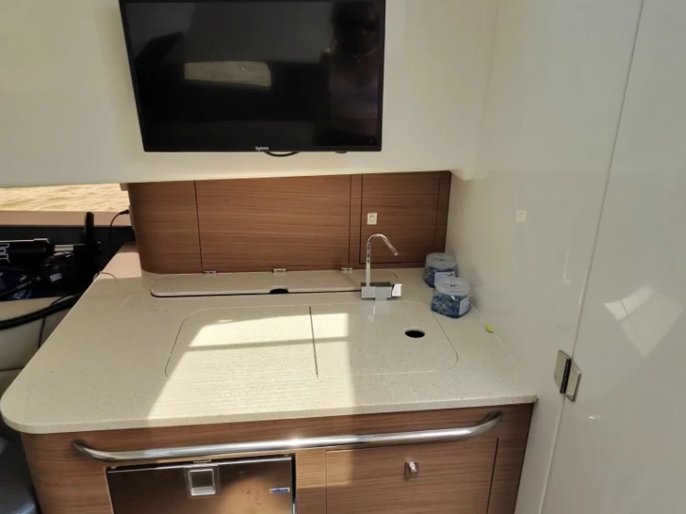 Alquiler Lancha Boston Whaler con o sin  título de navegación