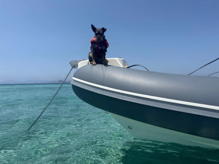 Bwa 24 Sporty RIB de alquiler a Ibiza (Ciudad)