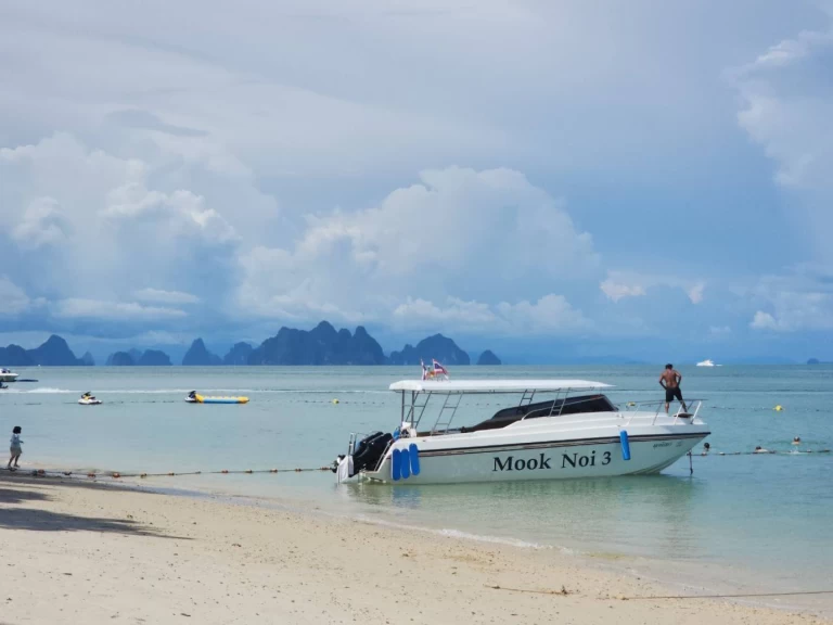 Alquiler Lancha Custom con o sin  título de navegación