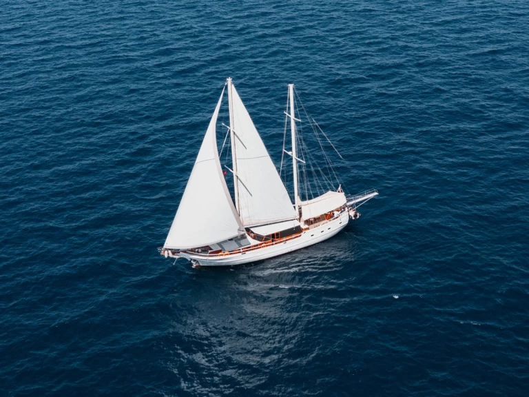 Alquiler Velero Custom Made con o sin  título de navegación