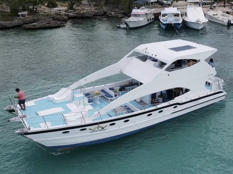 Alquiler Catamarán Custom Made con o sin  título de navegación