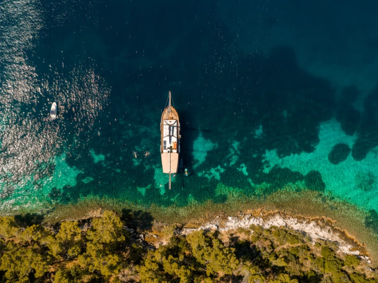 Alquiler Velero  con o sin  título de navegación