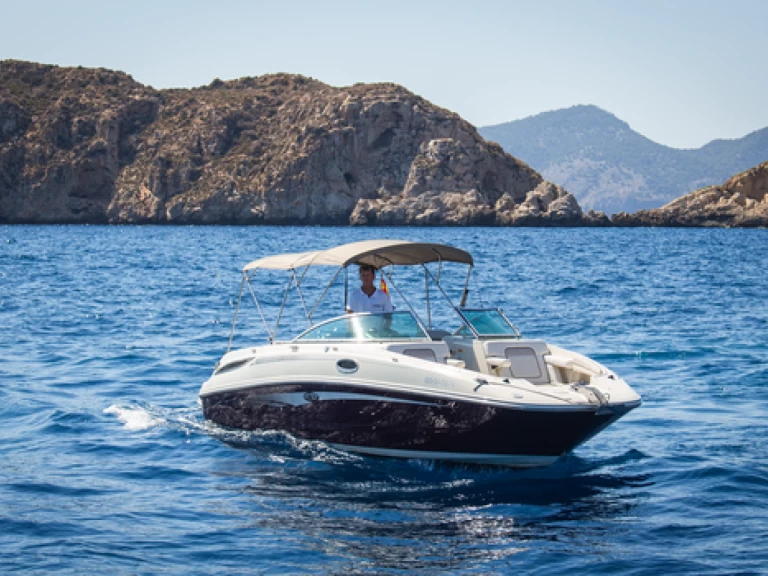 Alquiler de Lancha, con o sin patrón Sea Ray El Toro