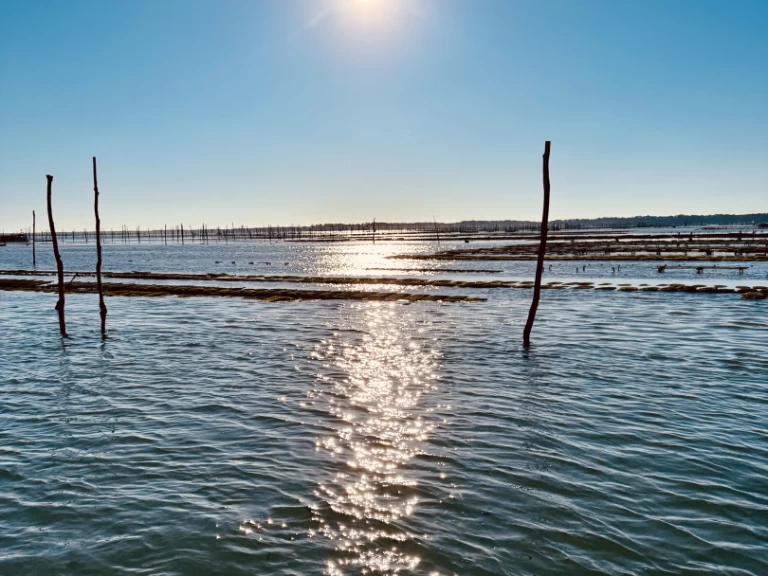 Alquiler Francia - Beacher Beacher 840 en SamBoat