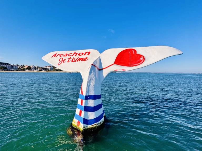 Alquiler de Beacher Beacher 840 en Francia