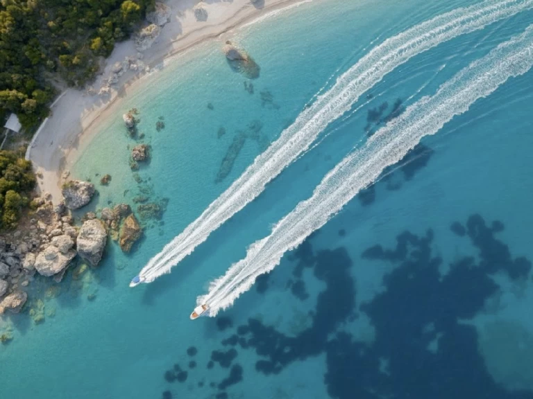 Alquiler Lancha Saver con o sin  título de navegación