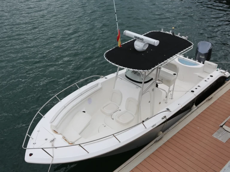 Alquiler Lancha SEAFOX con o sin  título de navegación