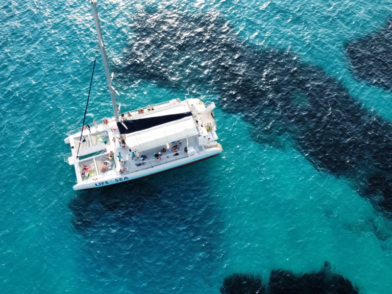 Alquiler Catamarán Drassanes Dalmau con o sin  título de navegación