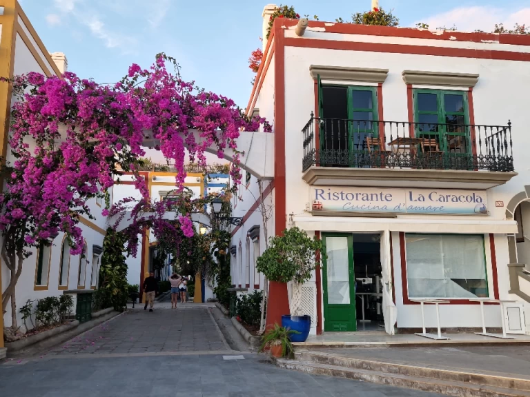 Alquiler de Jeanneau Sun Odyssey 44i en Puerto de Mogán