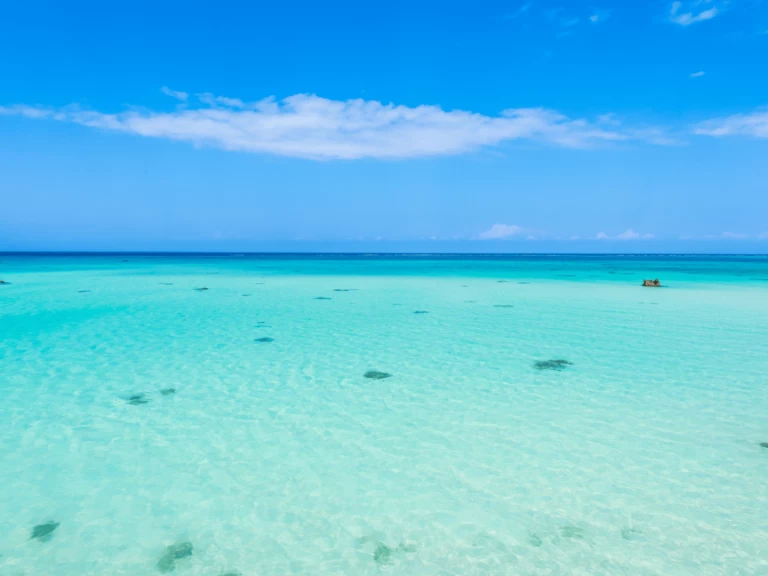 Alquiler de Catamarán, con o sin patrón Custom Made Kendwa