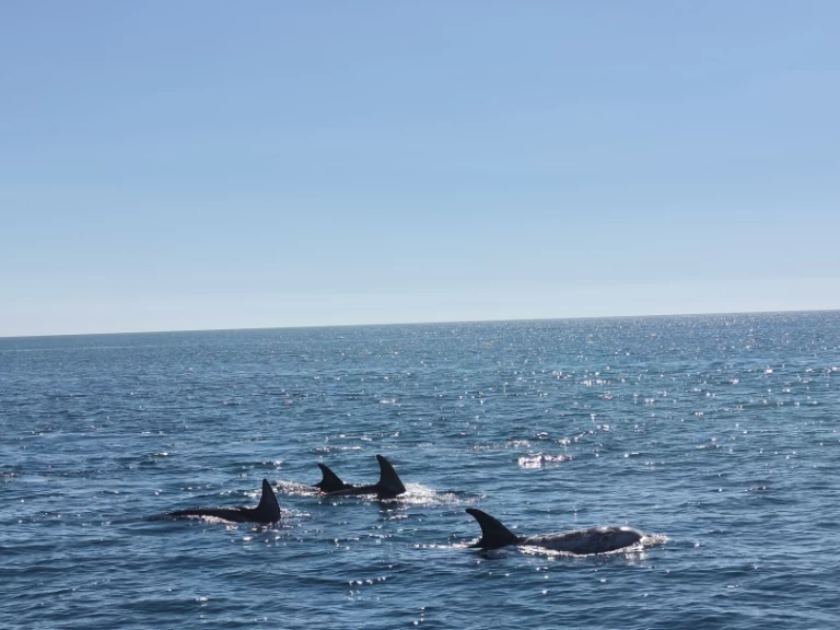 Alquiler de Fountaine Pajot FP 44 en Portimão