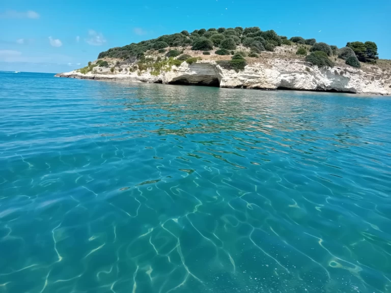Alquiler Lancha Idea Marine con o sin  título de navegación