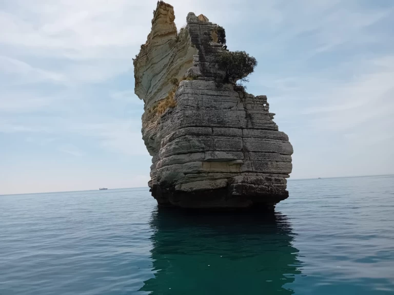 Idea Marine IDEA 58 de alquiler a Vieste