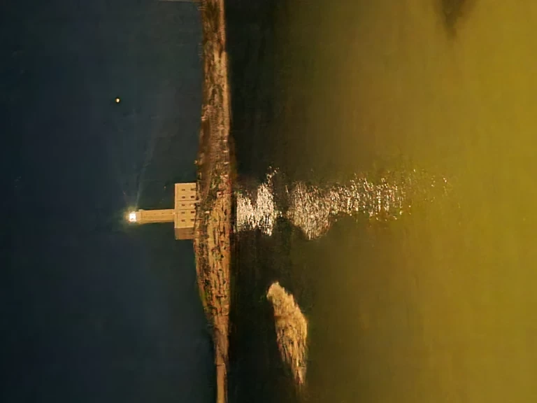 Alquiler de Lancha, con o sin patrón Idea Marine Vieste