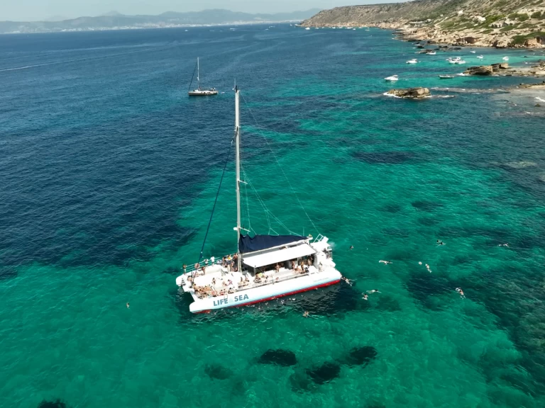 Alquiler de Drassanes Dalmau one of a kind en Playa de Palma