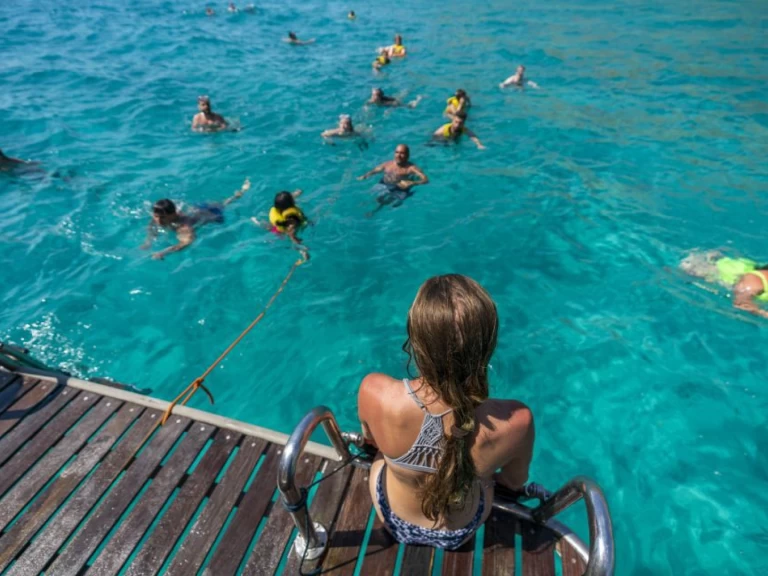 Alquiler de palma 1 en s'Arenal