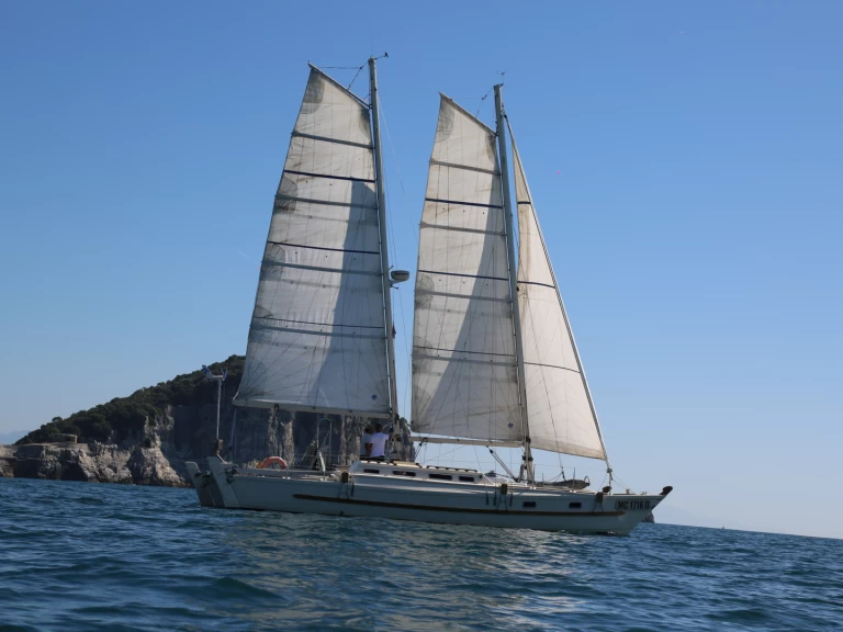 Alquiler de Catamarán, con o sin patrón Wharram La Spezia