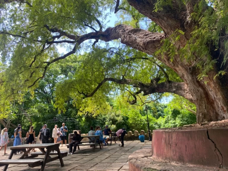 Alquiler de embarcaciones Custom Custom enZanzíbar en Samboat