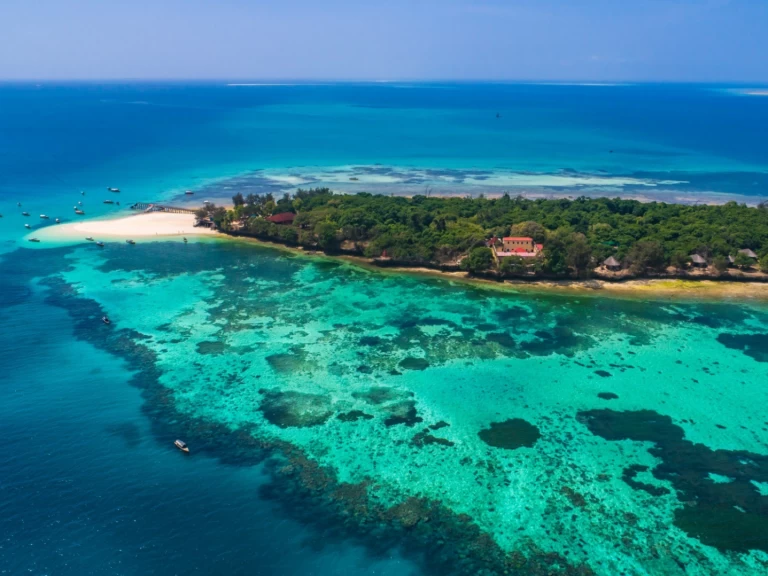 Alquiler Velero en Zanzíbar - Custom Custom