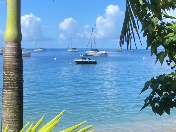 Alquiler Lancha en Deshaies - Pacific Craft Pacific Craft 630