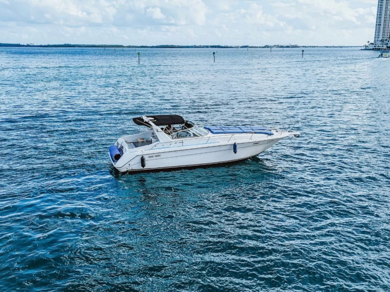 Alquiler Lancha Sea Ray con o sin  título de navegación