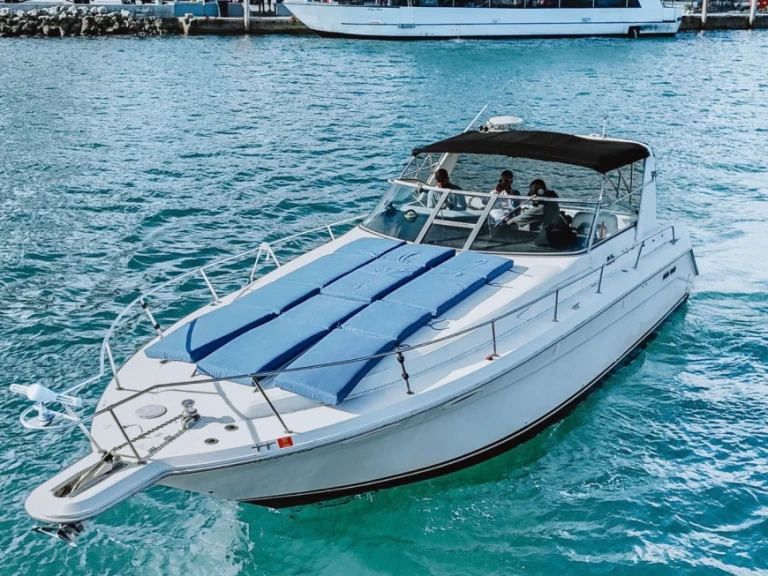 Alquiler Miami - Sea Ray Sea Ray 370 Sundancer en SamBoat