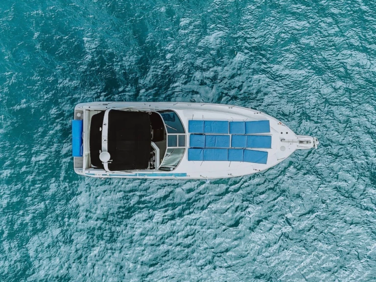 Alquiler de Sea Ray Sea Ray 370 Sundancer en Miami