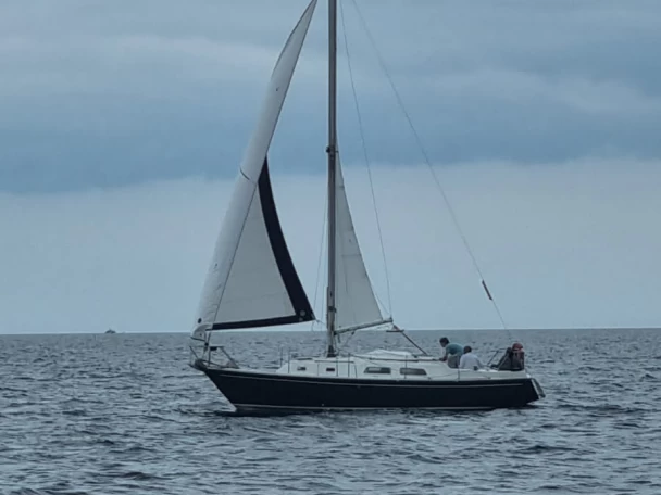 Alquiler Velero en Port de Sainte-Marine - Contest contest 29