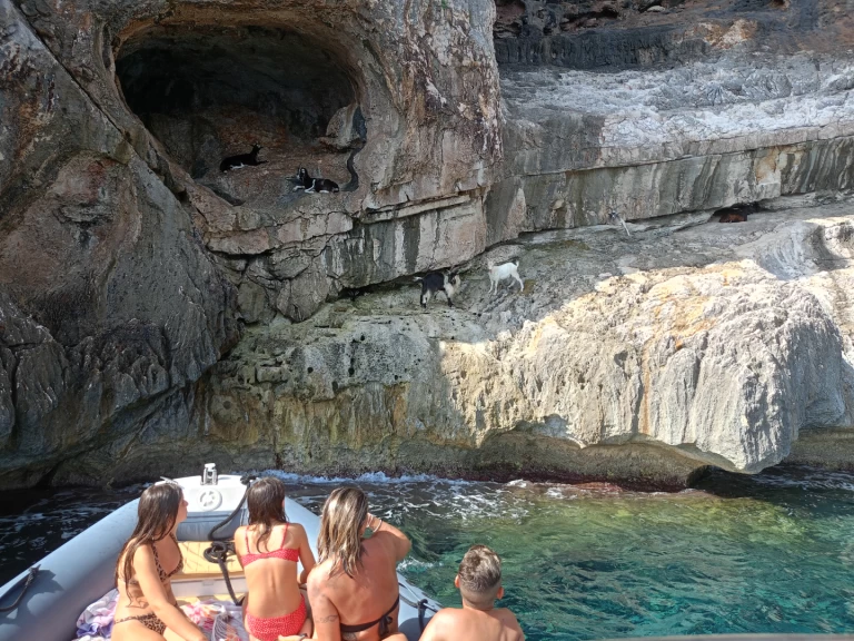 Alquiler Cala Gonone - Nuova Jolly King 750 en SamBoat