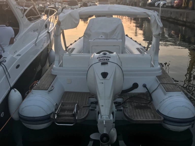 Alquiler Neumática Pholas con o sin  título de navegación