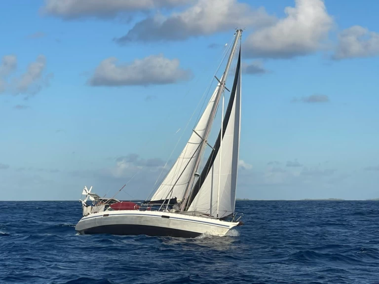 Alquiler de Alubat Ovni 43 en La Paz