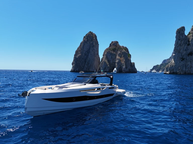 Alquiler Lancha Cayman con o sin  título de navegación