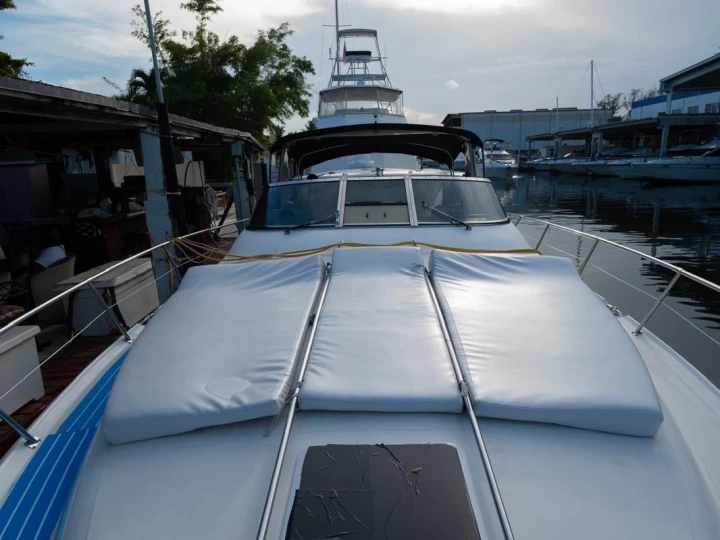 Alquiler Lancha en Miami - Sea Ray Sea Ray 400 Sundancer