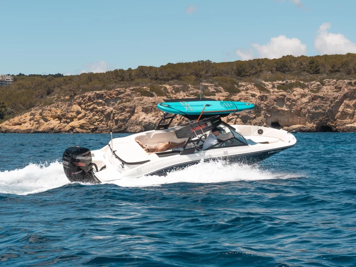 Alquiler Palma de Mallorca - Sea Ray SPX 210 OB en SamBoat