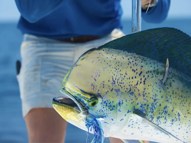 Alquiler de HCB 53 Suenos  en Providenciales