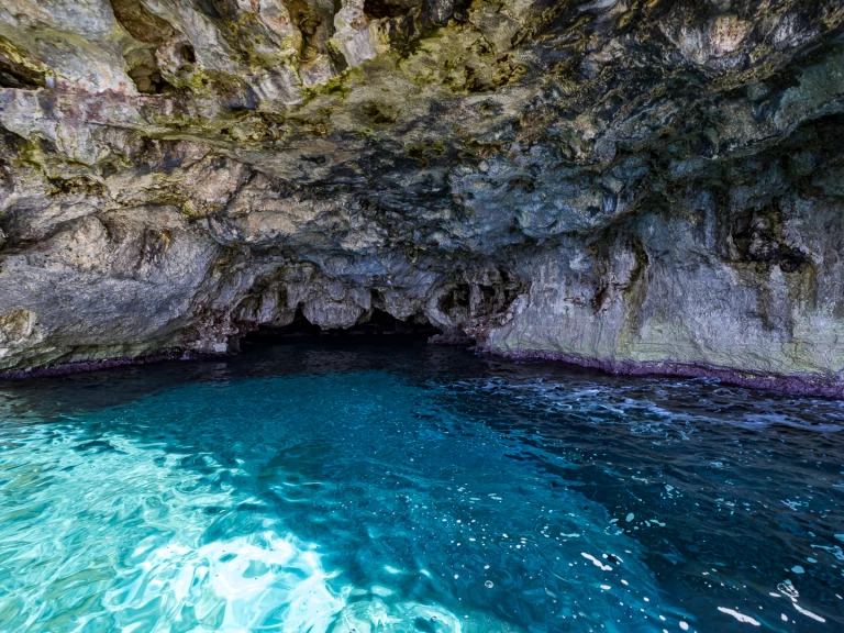 Alquiler de Lancha, con o sin patrón NAUTICA SERVICE SRL Torre Vado