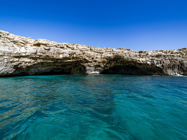 Alquiler Lancha NAUTICA SERVICE SRL con o sin  título de navegación