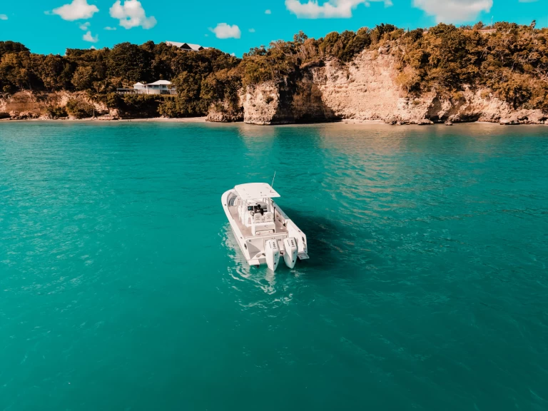 Alquiler Lancha Forboat con o sin  título de navegación