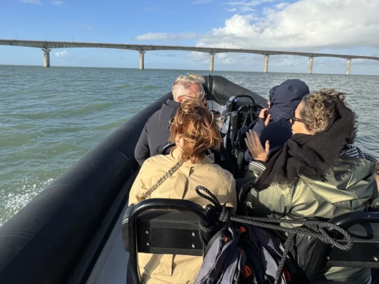 Alquiler de embarcaciones Narwhal sp900 enLa Rochelle en Samboat