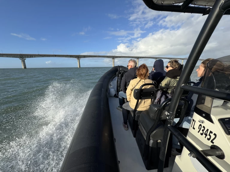 Alquiler Neumática Narwhal con o sin  título de navegación