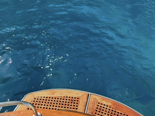 Alquiler de Apreamare Apreamare 7,5 en Sorrento