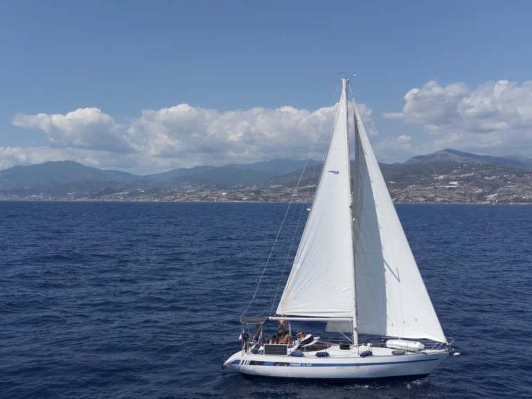 Alquiler Velero Comar con o sin  título de navegación