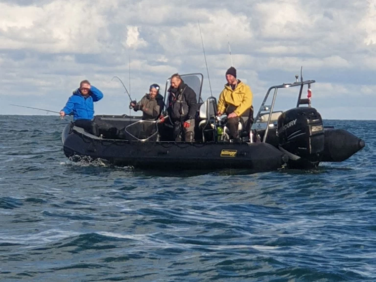 Alquiler Neumática Sillinger con o sin  título de navegación