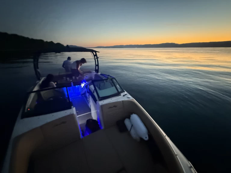 Alquiler de Lancha, con o sin patrón Sea Ray Thonon-les-Bains