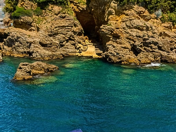 Alquiler Lancha Boston Whaler con o sin  título de navegación