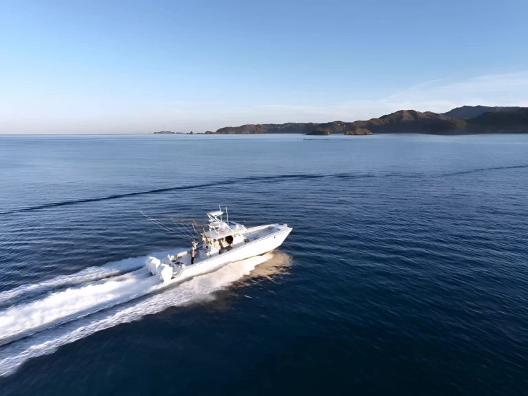 Alquiler de barcos Flamingo barato de Freeman 47FT