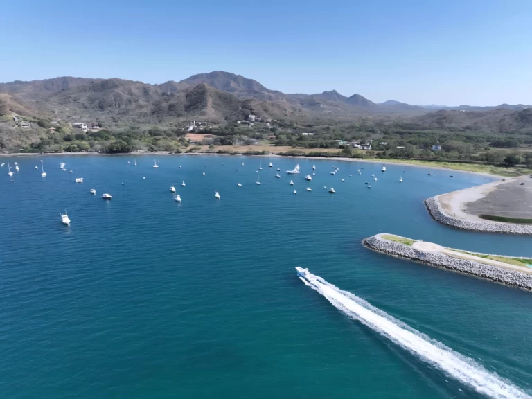 Alquiler Lancha en Flamingo - Freeman Freeman 47FT